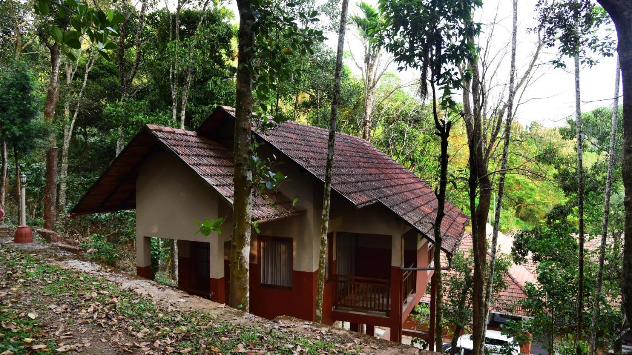 Terrace Resorts Wayanad Extérieur photo